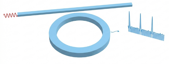FDTD simulation of dissipative Kerr solitons in a Kerr ring resonator